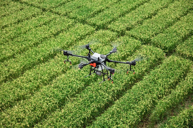 dron nad polem